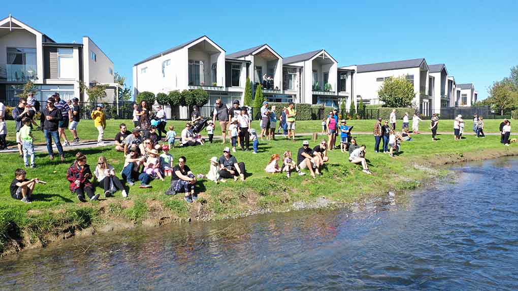 families gathered on the bank of a river with a row of townhouses in the background