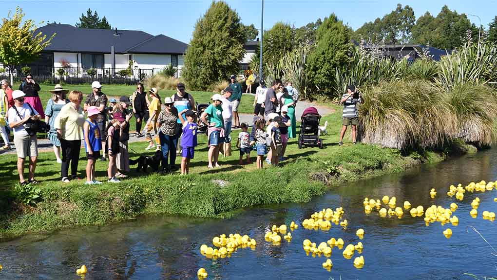 a crowd of people stand on the bank of a river watching yellow plastic ducks drift down the river