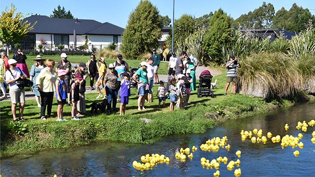 Silverstream community watching rubber ducks float down the river